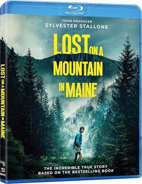 В плену стихии / Lost on a Mountain in Maine (2024/BDRip/HDRip) В плену стихии / Lost on a Mountain in Maine (2024/BDRip/HDRip)