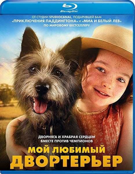 Мой любимый двортерьер / Runt (2024/BDRip/HDRip) Мой любимый двортерьер / Runt (2024/BDRip/HDRip)